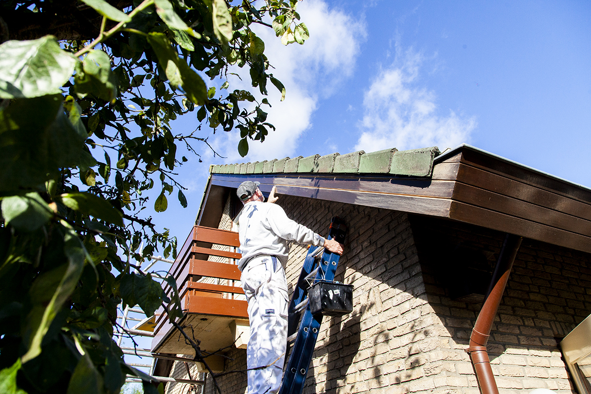 Workshop huisschilderen de Schildersklas