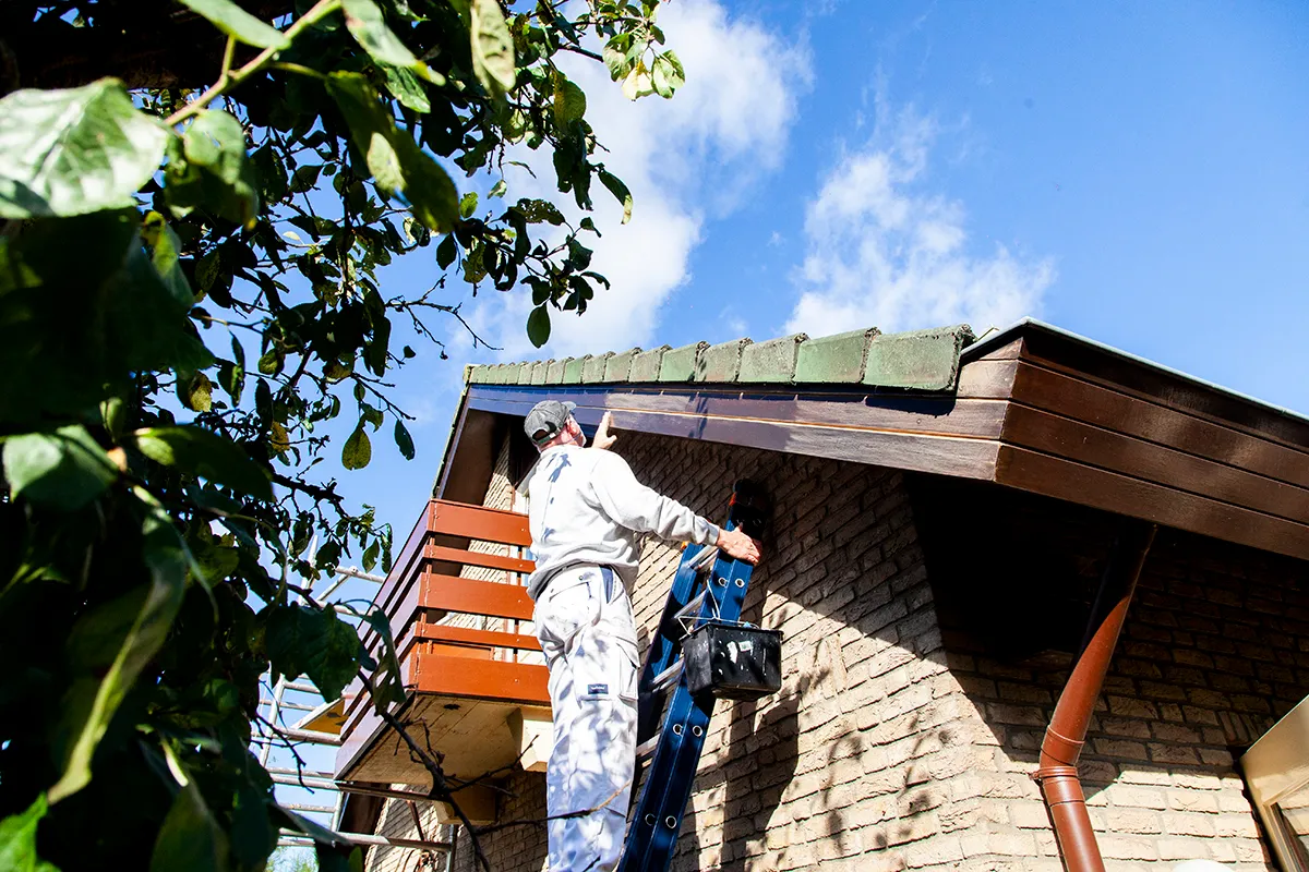 Workshop huisschilderen de Schildersklas